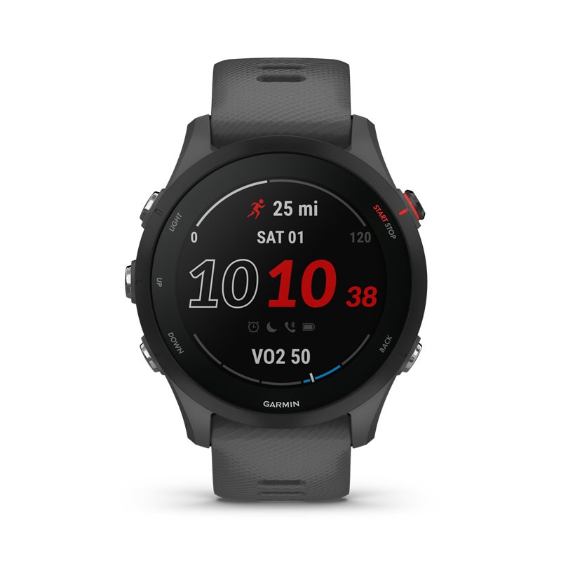 GARMIN Forerunner 255 Gris Pizarra